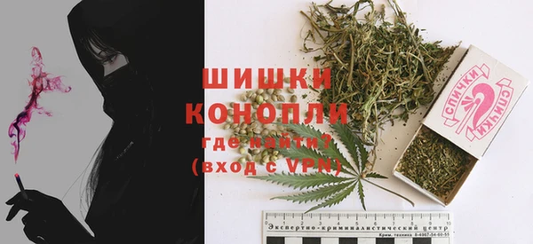 прущие грибы Бугульма