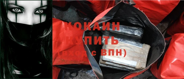 мдпв Бородино