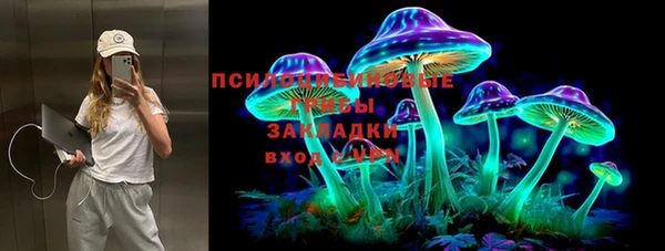 мдпв Бородино