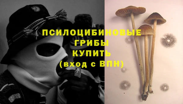 гашик Бронницы