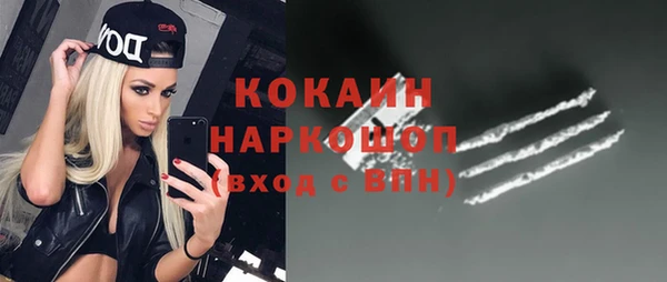 мдпв Бородино