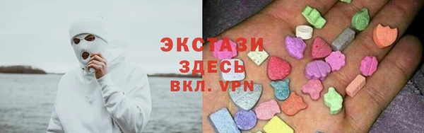 мдпв Бородино