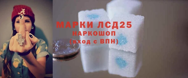 амф Верхний Тагил