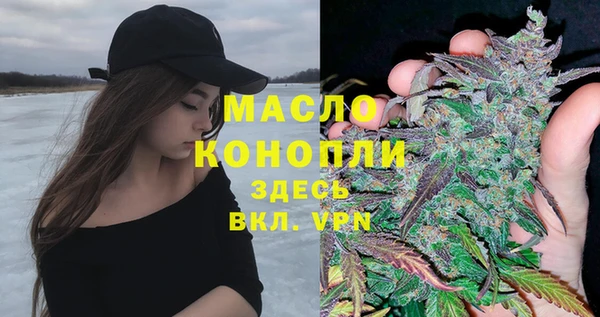 амф Верхний Тагил