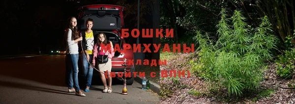 гашик Бронницы
