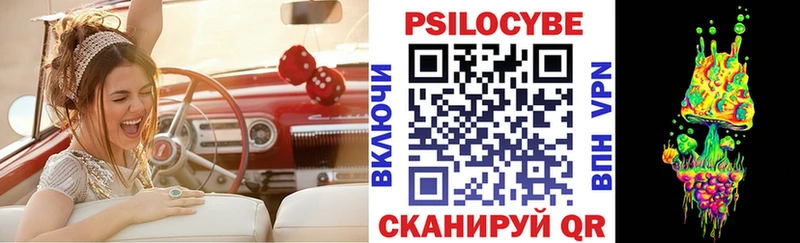 Псилоцибиновые грибы мицелий  где найти   Гвардейск 